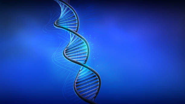 DNA spiral model on blue background, 3D render. stock photo
