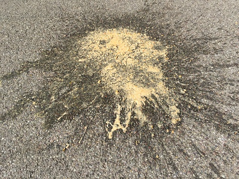 splash-of-vomit-on-road-picture-id836595424