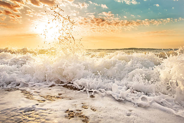salpicos de ondas no nascer do sol. - beach wave imagens e fotografias de stock
