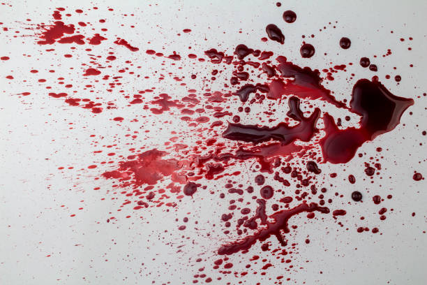 stänkte blod fläck isolerad på vit bakgrund - foto - blood splatter bildbanksfoton och bilder