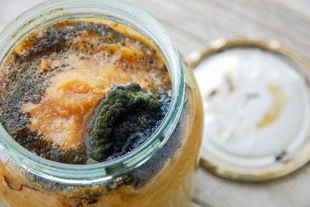 Spoiled homemade apple jam in a jar topped with dark mold. Violation of cooking technology. Improper storage of home canned food. stock photo