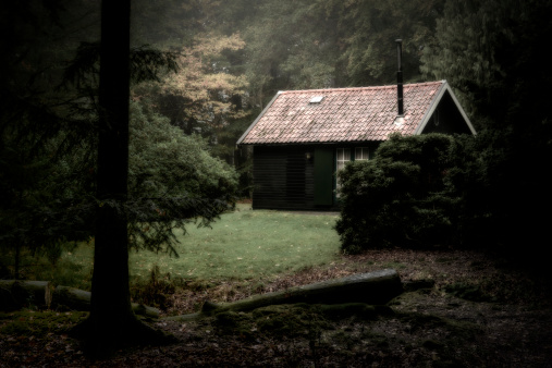 Spooky cabin in the woods on a hazy morning.
