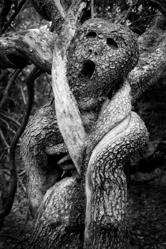 Very old tree strangled by very old grape vines the diameter of your arm. I added the facial features, but the rest is as it was found. Great for Halloween themes.