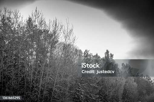 istock Spooky sky over a wintry forest 1361665295