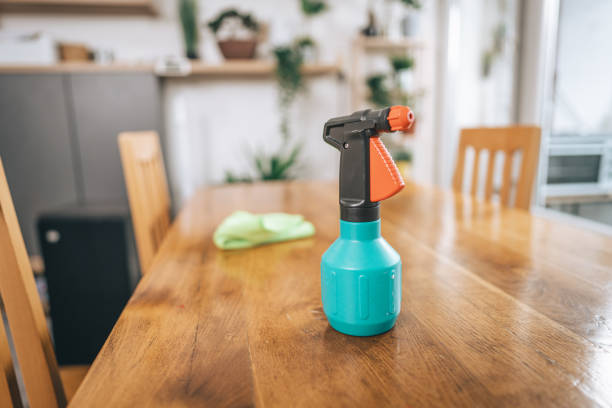 Spray bottle and rag on wooden table at home stock photo