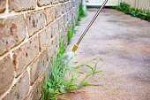 istock Spraying weed killer herbicide to control unwanted plants and grass on a backyard. Building exterior 1336481035