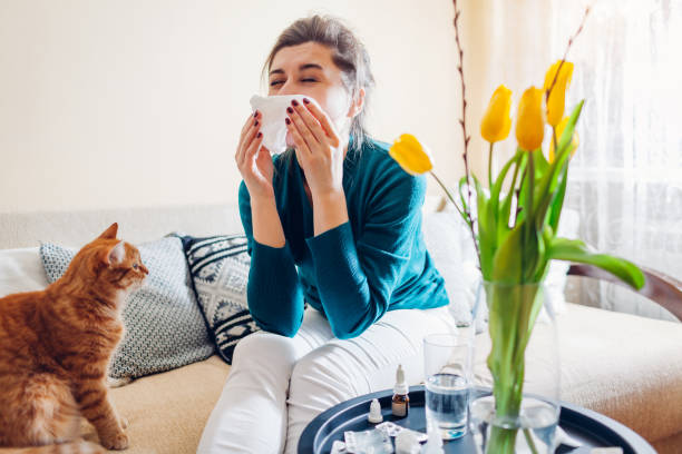 Spring allergy. Woman sneezing because of tulips flowers surrounded with pills and drops at home. Seasonal allergy. stock photo