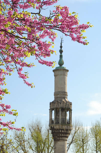 Spring and baroque style minaret, Istanbul, Turkey stock photo