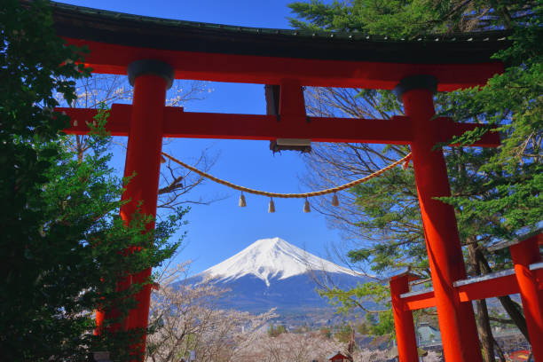 春の arakurayama 浅間神社: 富士山、桜、五重塔 - 神社 ストックフォトと画像