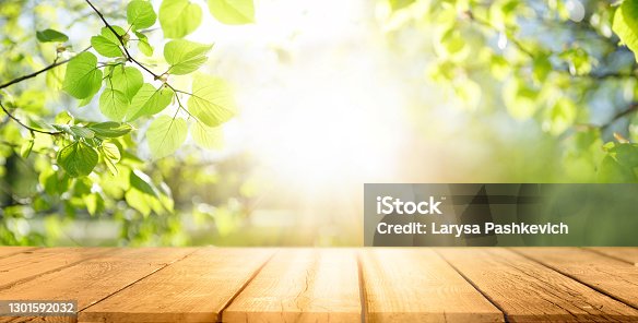 istock Spring beautiful background with green juicy young foliage and empty wooden table in nature outdoor. 1301592032