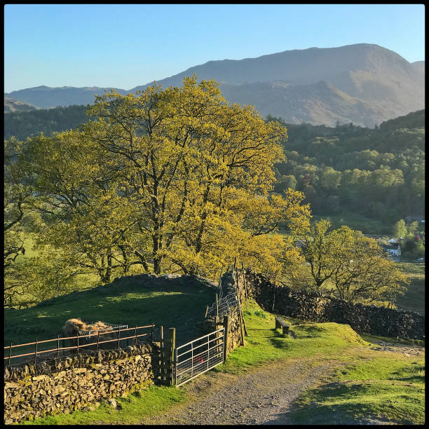 Spring evening, Langdale valley ,Lake district national park stock photo