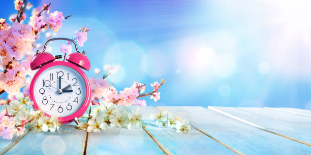 Spring Farward Time - Savings Daylight Concept Clock Alarm On Table With Blossoms Cherry daylight saving time stock pictures, royalty-free photos & images