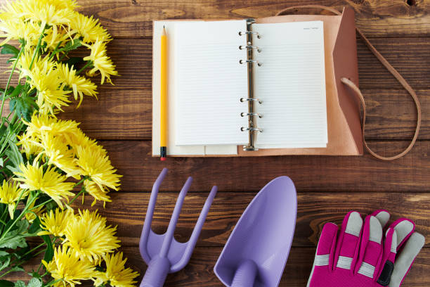 spring flat lay with notebook, gardening tools and gloves stock photo