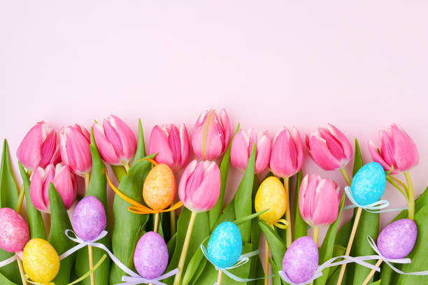 spring flat lay with tulips on pink  easter sunday stock pictures, royalty-free photos & images