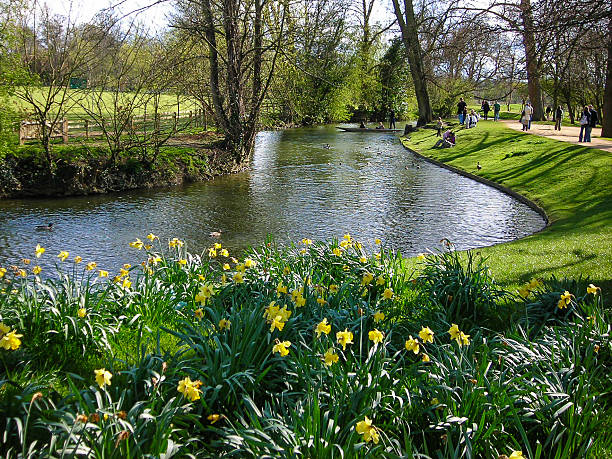Spring Flowers along the Thames River in Oxford England stock photo