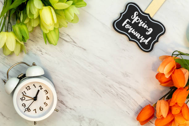 Spring Forward Daylight Saving Time concept with text on marble flat lay Spring Forward Daylight Saving Time concept with text on marble flat lay.  White alarm clock with tulips. daylight saving time stock pictures, royalty-free photos & images