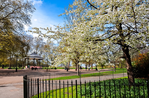 Spring in Hyde park, London, UK