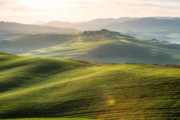 Spring landscape in Tuscany green fields stock photo