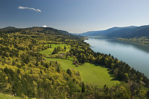 Spring Landscape  columbia river gorge stock pictures, royalty-free photos & images