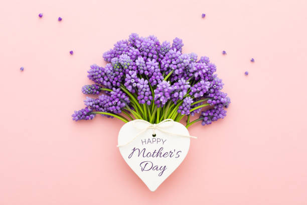 lente lila bloemen en een hart vorm kaart happy mother's day op pink. - moederdag stockfoto's en -beelden