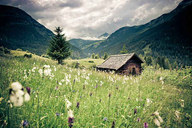 spring meadow with dramatic sky n- tirol, austria- vintage filtered stock photo