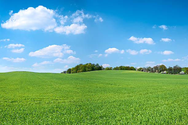 spring panorama 46mpix xxxxl - meadow, blue sky, clouds - heuvel stockfoto's en -beelden