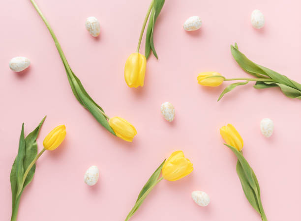 Spring pattern with fresh yellow tulips and small white eggs on white background stock photo