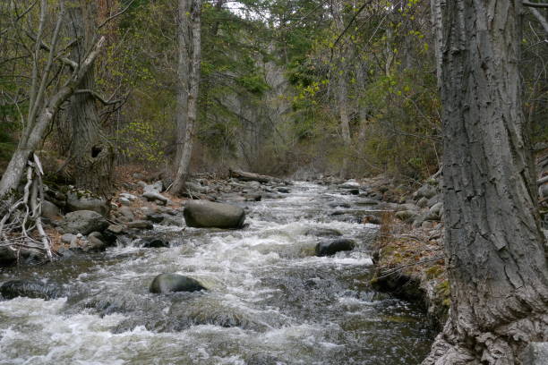 Spring runoff flowing down a creek stock photo