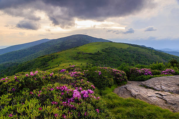 Spring Sunset flowering mountain landscape stock photo