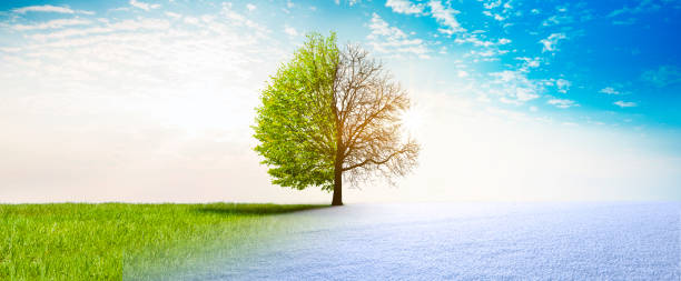 Spring winter change Spring winter change in Landscape with Tree season stock pictures, royalty-free photos & images