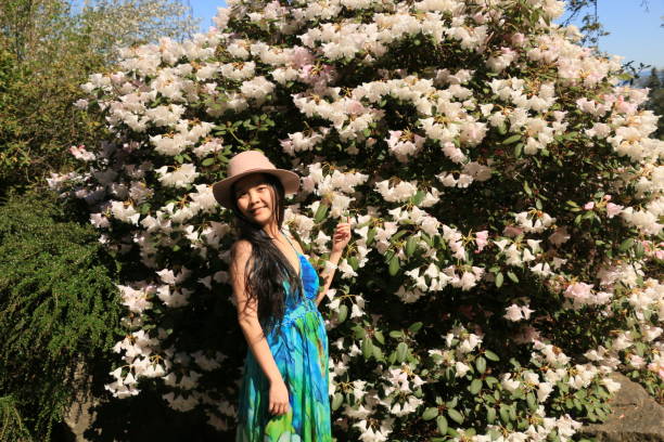 Springtime Beauties A Taiwanese woman in front of a blooming rhododendron wearing a multi colored sundress and a hat looking at the camera. asian beauties stock pictures, royalty-free photos & images