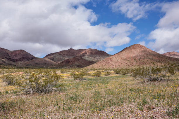 Springtime desert Landscape near Calico California stock photo