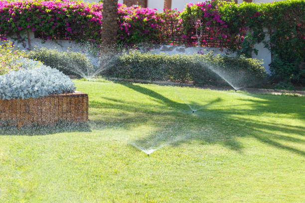 sproeier in de tuin het gazon besproeiing. automatisch sproeisysteem gazons - irrigatiesysteem stockfoto's en -beelden
