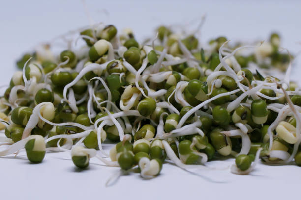Importance of Eating Sprouts | Nutrient-Rich Food
