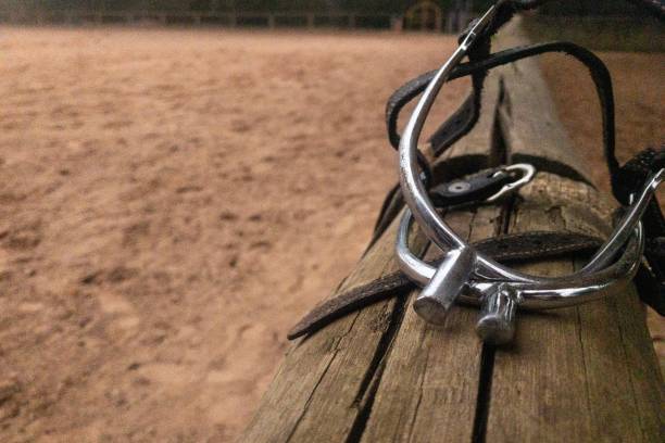 шпора для лошади - страдание лошади - hipism - martinelli стоковые фото и изображения