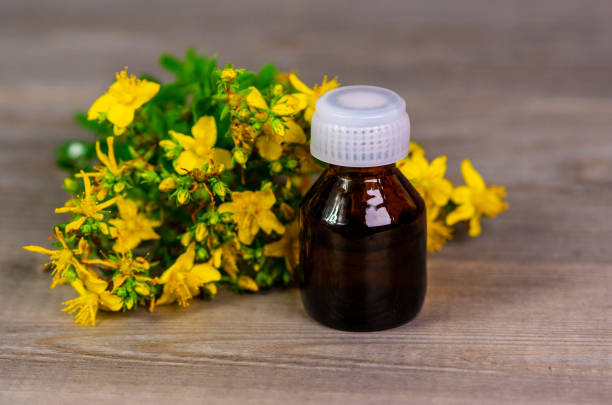 st. John's wort herb with small brown bottle, herbal essential oil for spa or therapy stock photo
