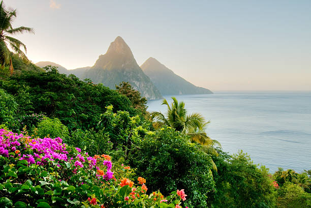 St. Lucia's Twin Pitons lit by sunrise glow stock photo
