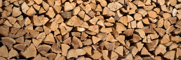 Stack of wood logs, wooden abstract panoramic background stock photo