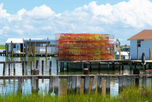 Stacked Crab Pots, Tangier Island, Virginia Tangier Island, Virginia / USA - June 21, 2020: Crab pots are stacked on a dock in front of a shanty in this popular tourist destination in the Chesapeake Bay that exudes a quaint charm with its many watermen and their boats. tangier island stock pictures, royalty-free photos & images
