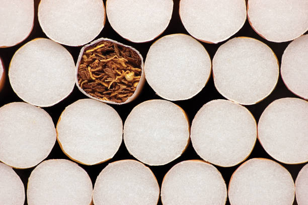 Stacked Filter Cigarettes, Macro Closeup Pattern, Smoking Addiction Concept, Large Detailed Horizontal Multiple Cigarette Stack Background stock photo