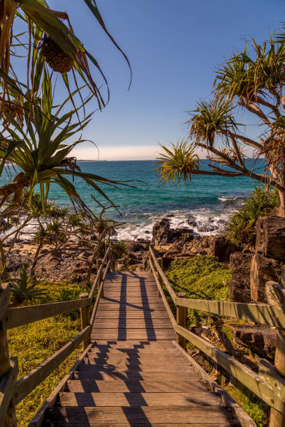 Stairs leading to beach at sunset in Queensland stock photo