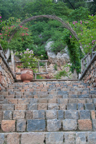 Stairs made of gray stones leading to some green trees stock photo