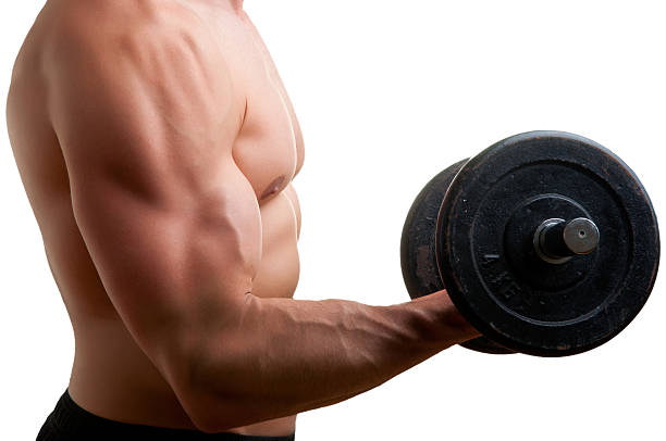 3,864 Dumbbell Curl Stock Photos, Pictures & Royalty-Free Images - iStock
