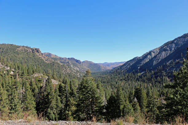 Stanislaus National Forest in California USA Stanislaus National Forest in California alpine climate stock pictures, royalty-free photos & images