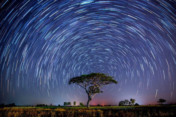 star trails behind a alone tree in rice fields.with grain and select white balance.photo by long exposure. - milky way imagens e fotografias de stock