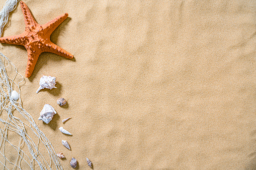 Summer backgrounds: overhead view of starfish and seashells arranged at the left border of sand background. A fishing net complete the composition High resolution 42Mp digital capture taken with SONY A7rII and Zeiss Batis 40mm F2.0 CF lens