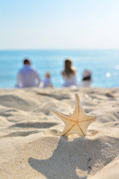 Starfish In Foreground As Father and Mother Sitting With Children stock photo