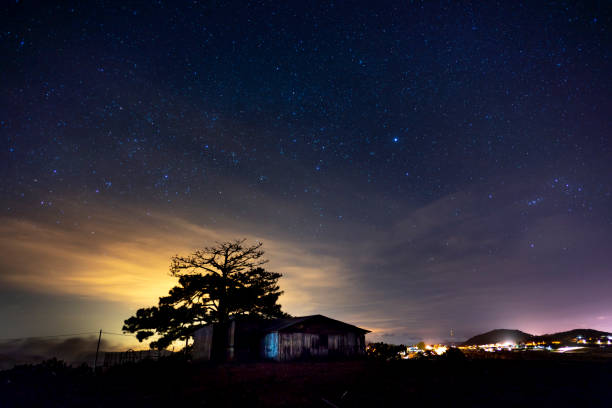 Starry night landscape with trees and the small house stock photo