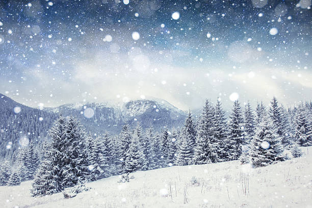céu estrelado no inverno neve a noite. cárpatos, a ucrânia, a europa - milky way imagens e fotografias de stock