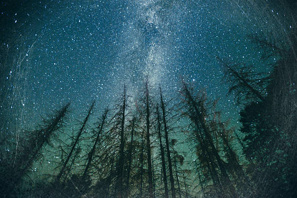 céu estreladocomment - milky way imagens e fotografias de stock